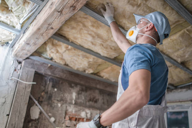 Best Insulation for New Construction  in Grandyle Village, NY