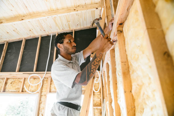 Best Insulation for New Construction  in Grandyle Village, NY