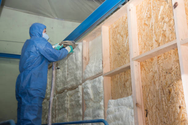 Best Attic Insulation Installation  in Grandyle Village, NY