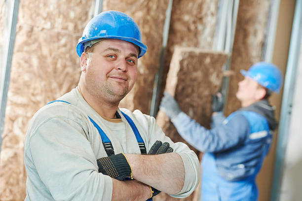 Best Insulation Replacement Services  in Grandyle Village, NY
